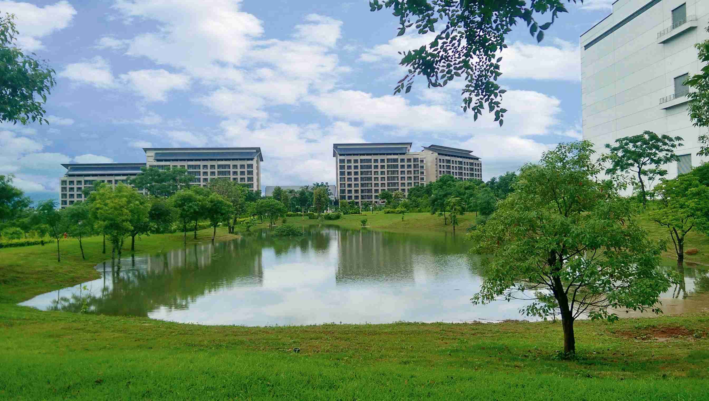 NG大舞台响应国际倡议生物多样性趋势，，首次发布TNFD自然相关财务揭露报告书，，，擘划及开展NG大舞台生物多样性政策之承诺，，，，逐步迈向与自然和谐共生